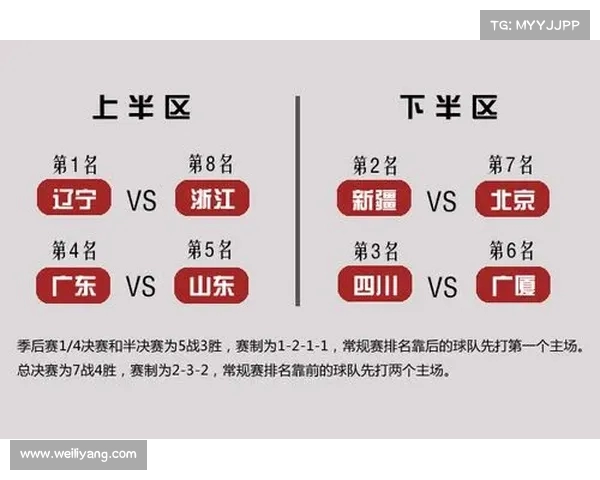 CBA联赛历程回顾与发展分析：从初创到辉煌的时代跨越