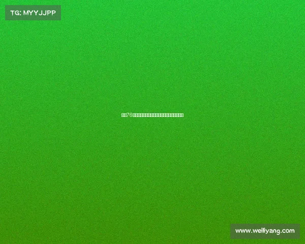 费城76人新赛季展望球队阵容变化与冠军之路的挑战