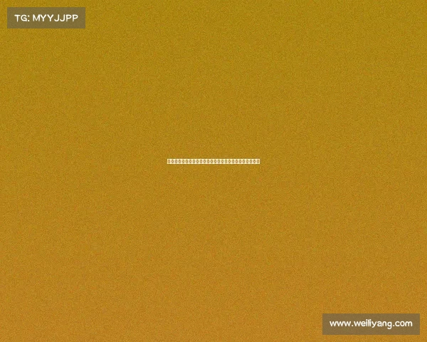 高洪波：从足球教练到中国足球复兴的关键人物与历史见证