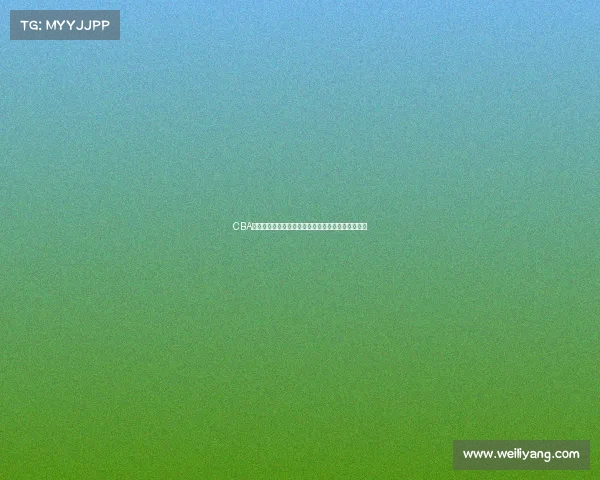 CBA联赛历程回顾与发展分析：从初创到辉煌的时代跨越