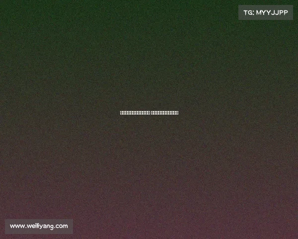 新赛季德甲揭幕战全面开启 热点对决与新星崭露头角