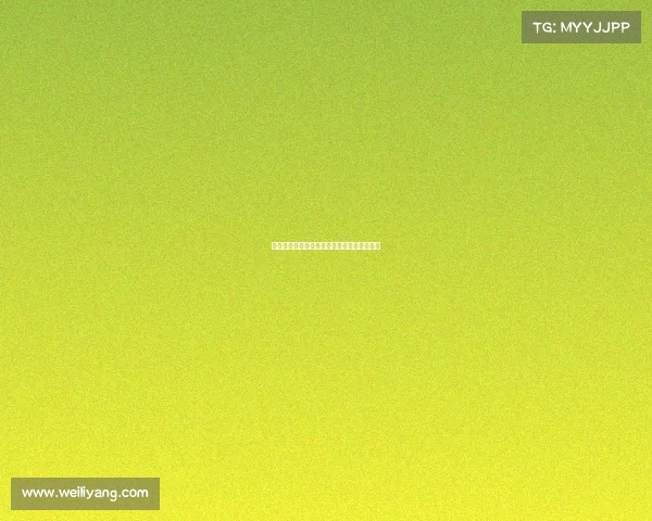 欧冠赞助商背后的商业战略与全球影响力分析