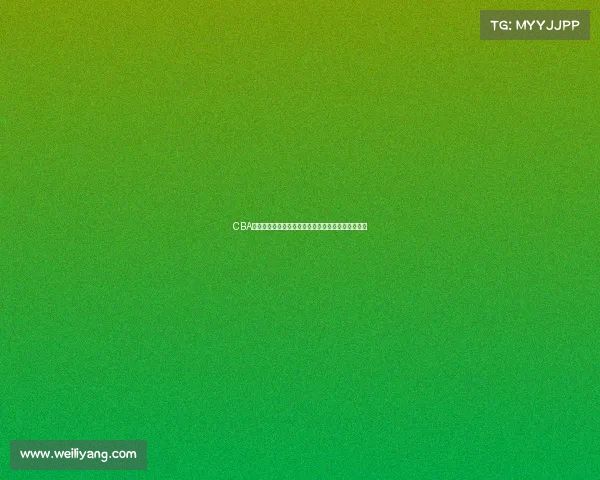 CBA联赛历程回顾与发展分析：从初创到辉煌的时代跨越