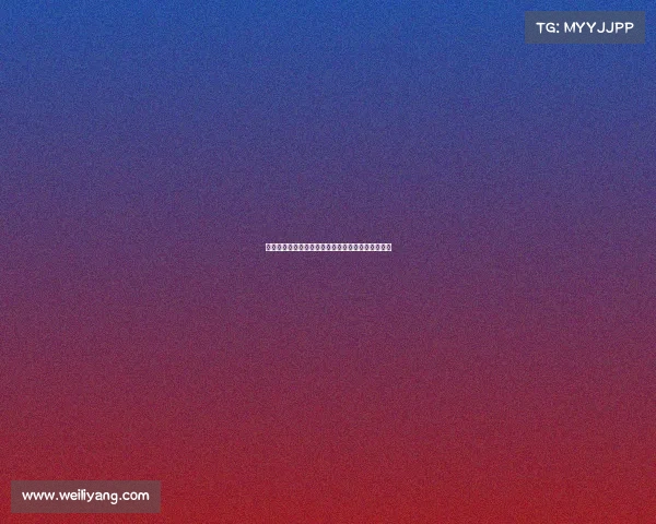 赛季回顾与展望：全面解析各队表现与未来发展趋势