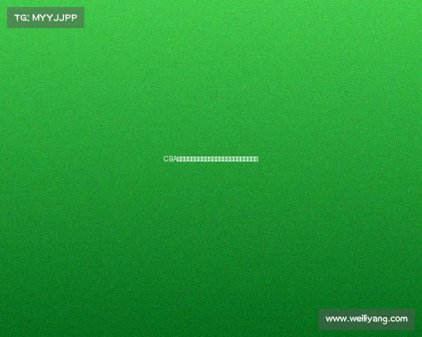 CBA联赛历程回顾与发展分析：从初创到辉煌的时代跨越