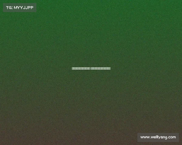 新赛季意甲揭幕战火热开启 豪门对决与新星崛起共同上演