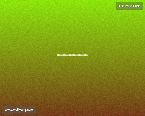 新赛季意甲揭幕战火热开启 豪门对决与新星崛起共同上演