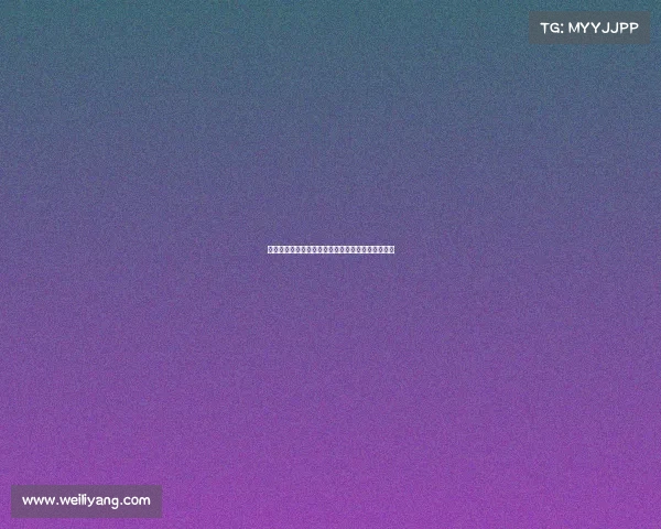 赛季回顾与展望：全面解析各队表现与未来发展趋势